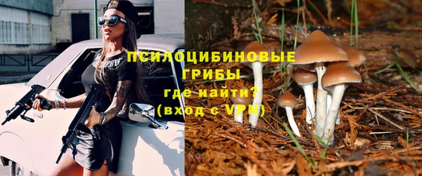 эйфоретик Абаза