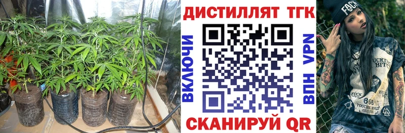OMG ссылки Ивантеевка Дистиллят ТГК THC oil