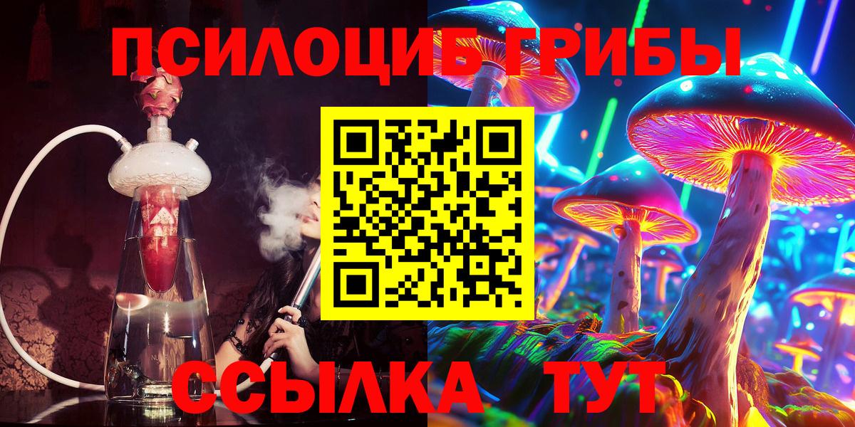 Галлюциногенные грибы Psilocybine cubensis Ивантеевка