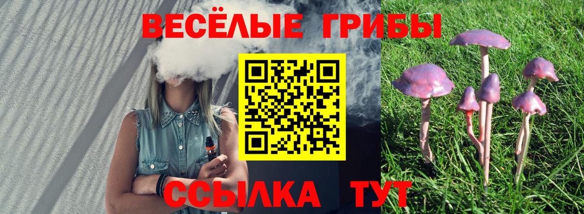 Псилоцибиновые грибы Magic Shrooms  Вход с VPN  Ивантеевка 